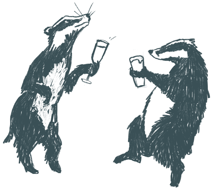 Badgers enjoying a drink